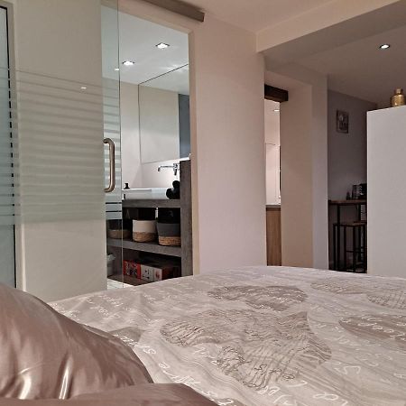 Boigne Sweet Suite Chambéry Zewnętrze zdjęcie