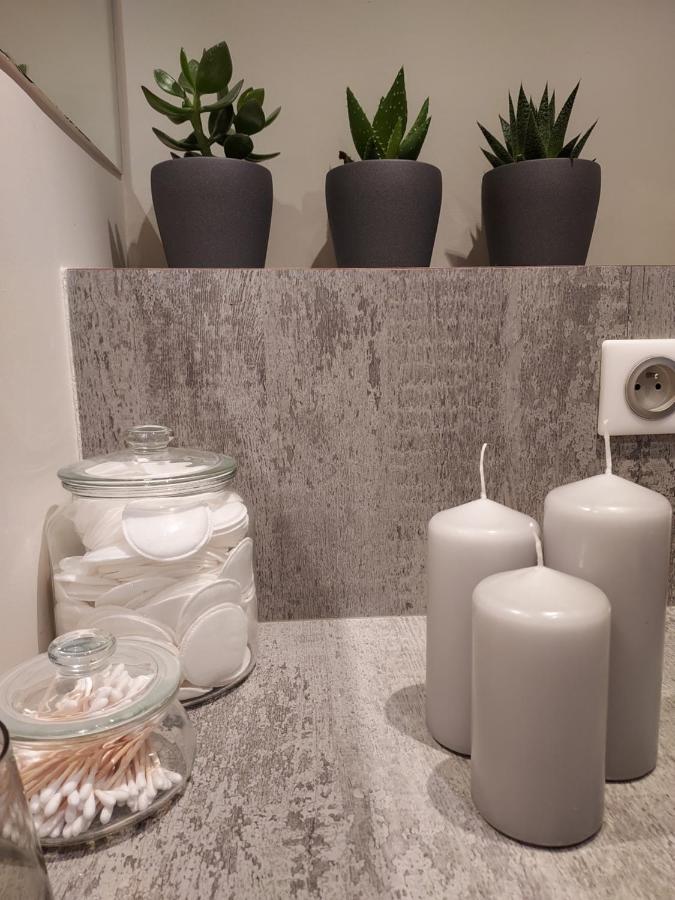 Boigne Sweet Suite Chambéry Zewnętrze zdjęcie