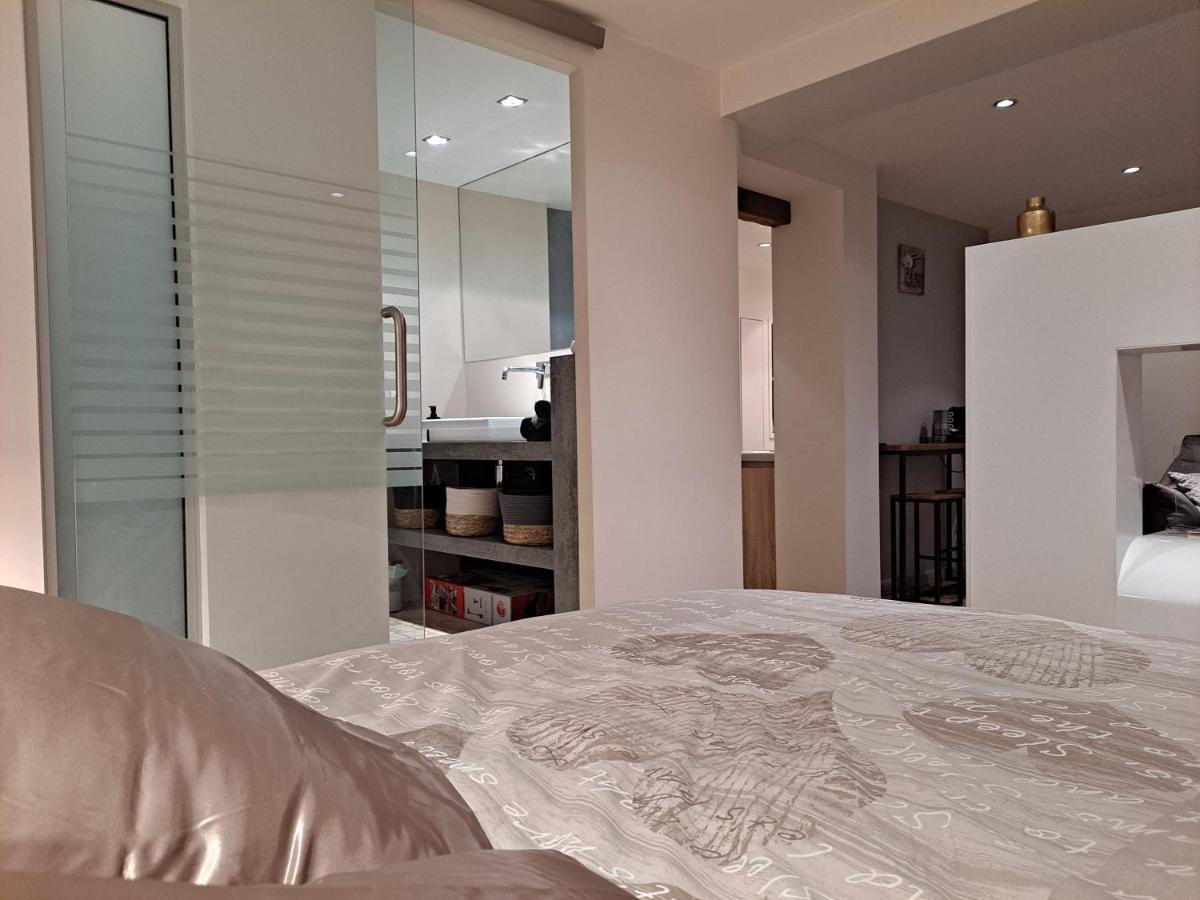 Boigne Sweet Suite Chambéry Zewnętrze zdjęcie